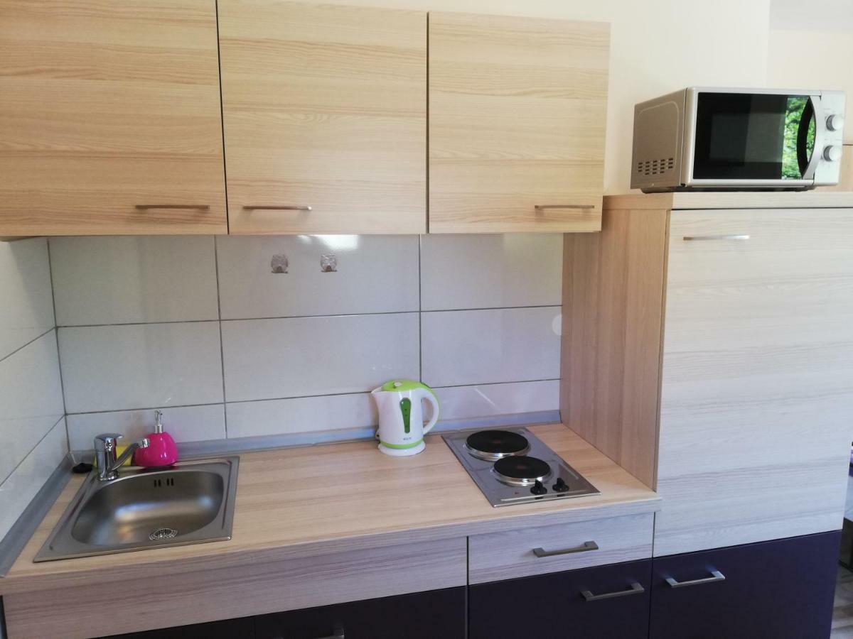 Studio Apartment Palmira Ližnjan Eksteriør bilde